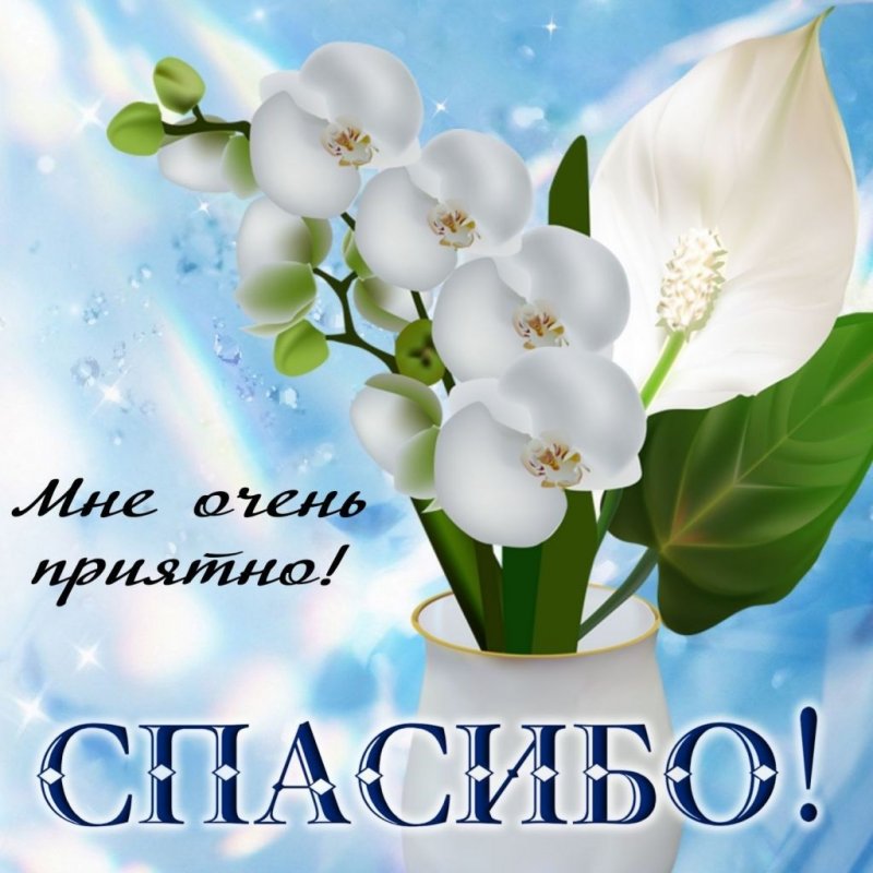 Открытки со словом спасибо
