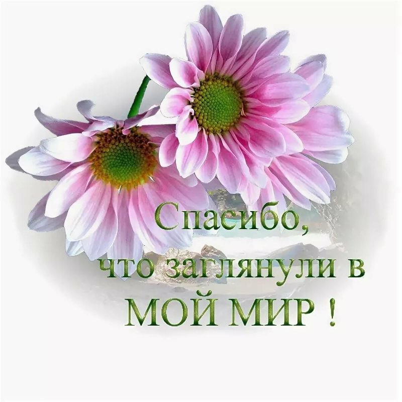 Благодарность другу за внимание