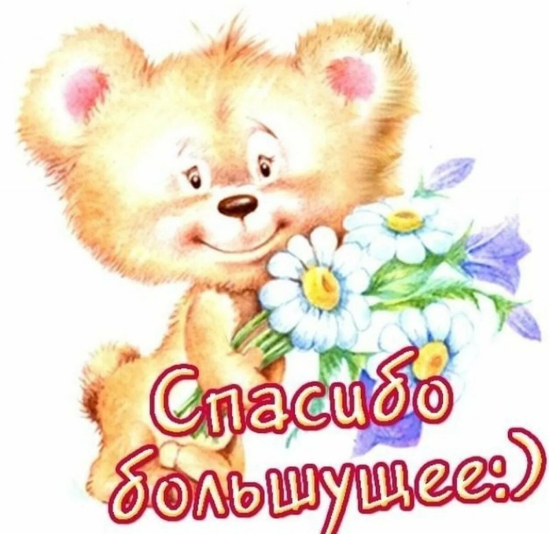 Картинки спасибо большое