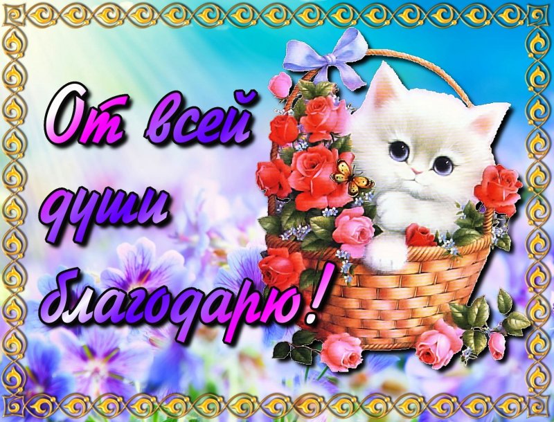 Открытка с благодарностью за подарок