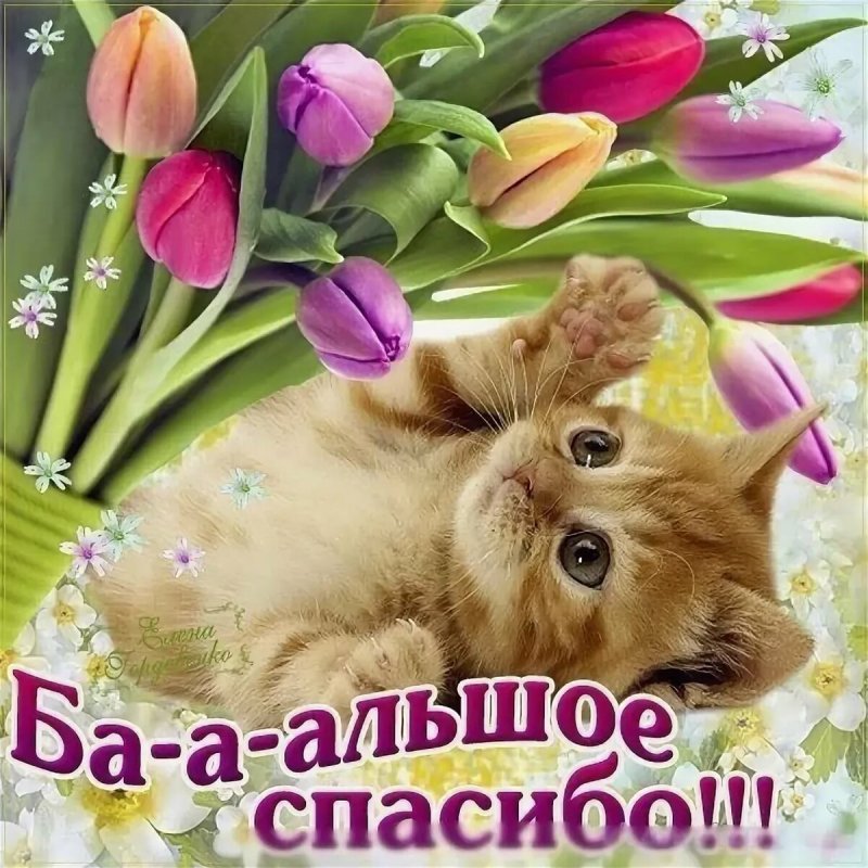 Открытки со словами благодарности и спасибо бесплатно