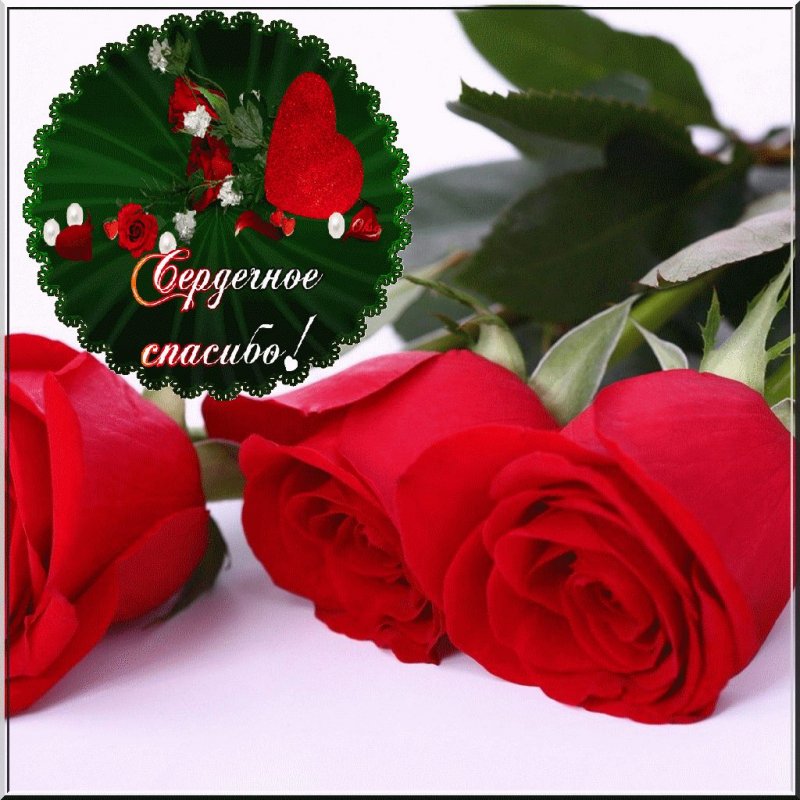 Сердечное спасибо