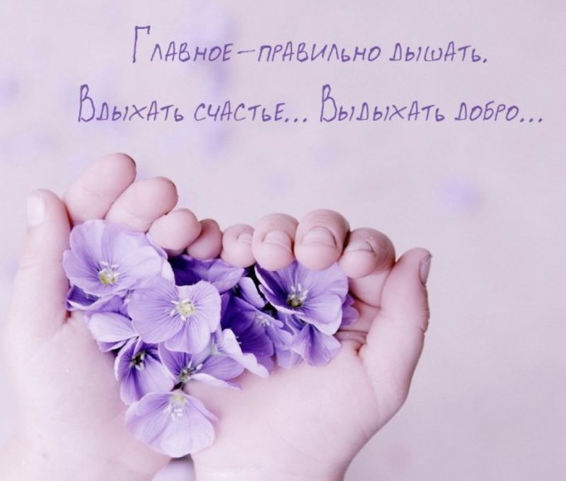 Девушка держит в руке бутон