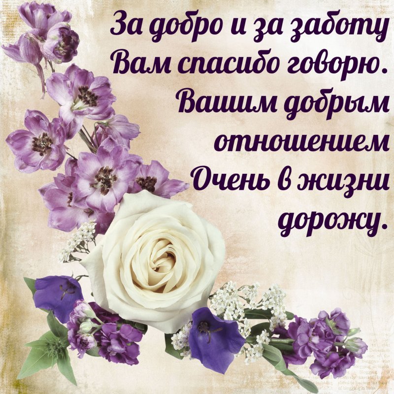 Красивые цитаты про маникюр и ногти