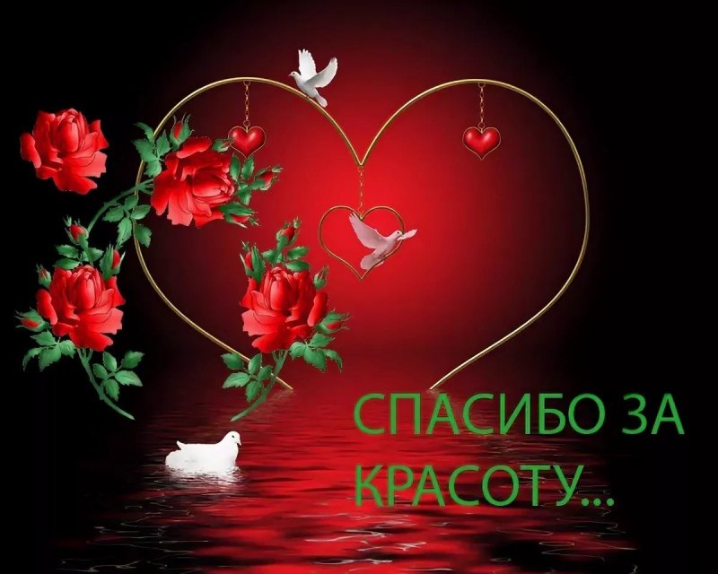 Благодарю за красоту