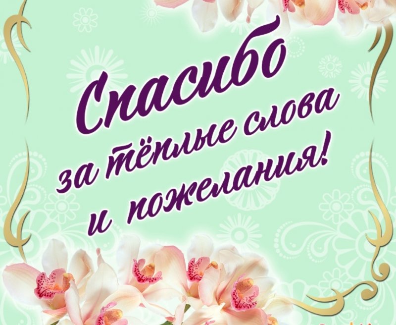 Шаблон для ногтей Орхидея