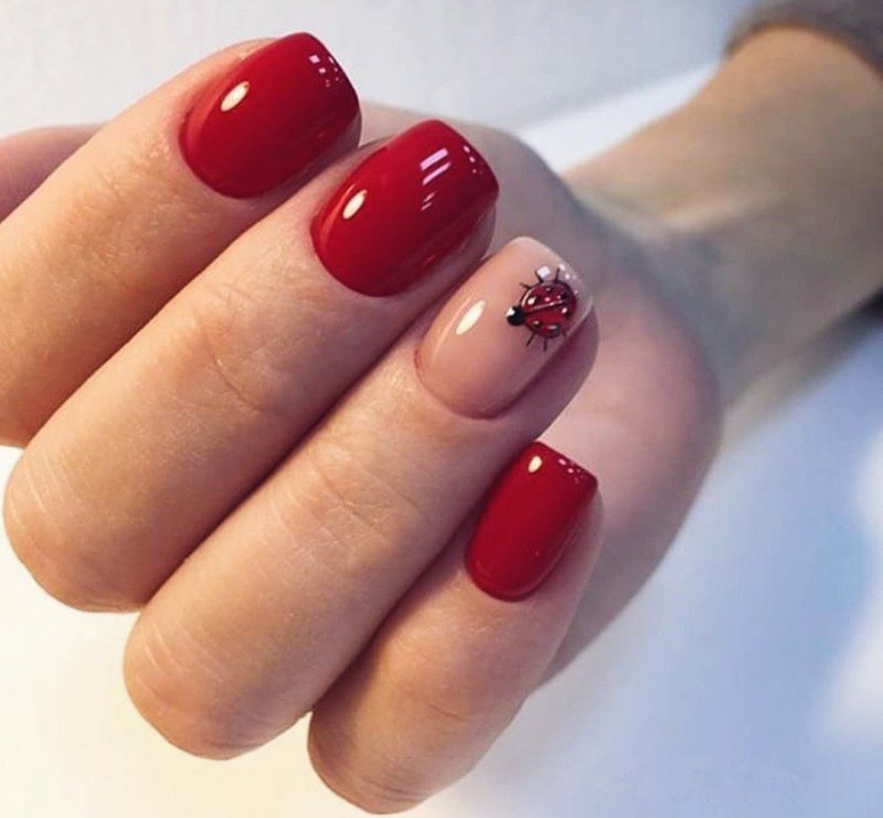 Красный шеллак на короткие