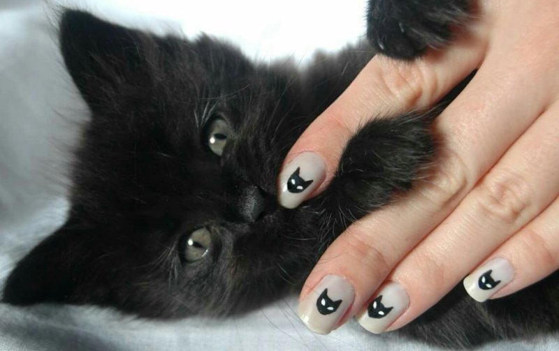 Маникюр кошачий глаз