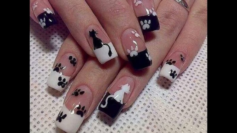 Френч черно белый с кошкой
