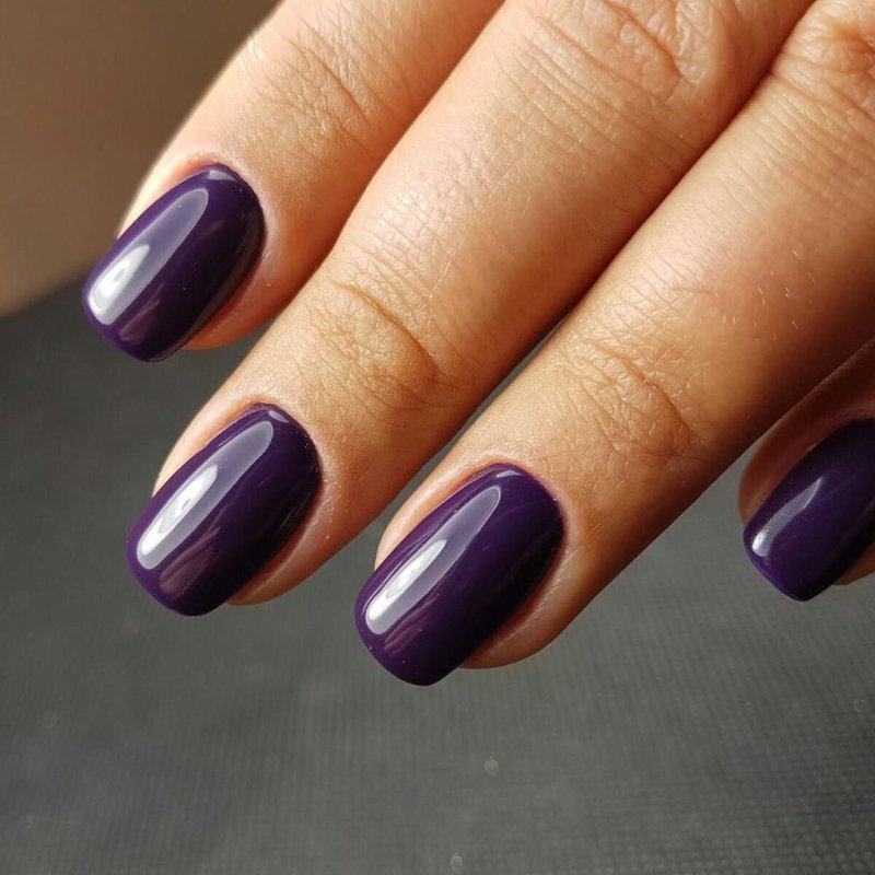 Luxio Plum