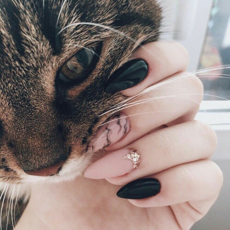 Маникюр кошачьи когти