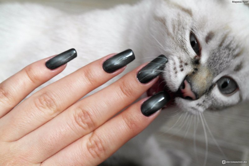 Маникюр на короткие кошачий глаз бежевый