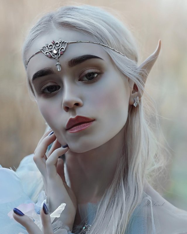 Agnieszka Lorek эльфы