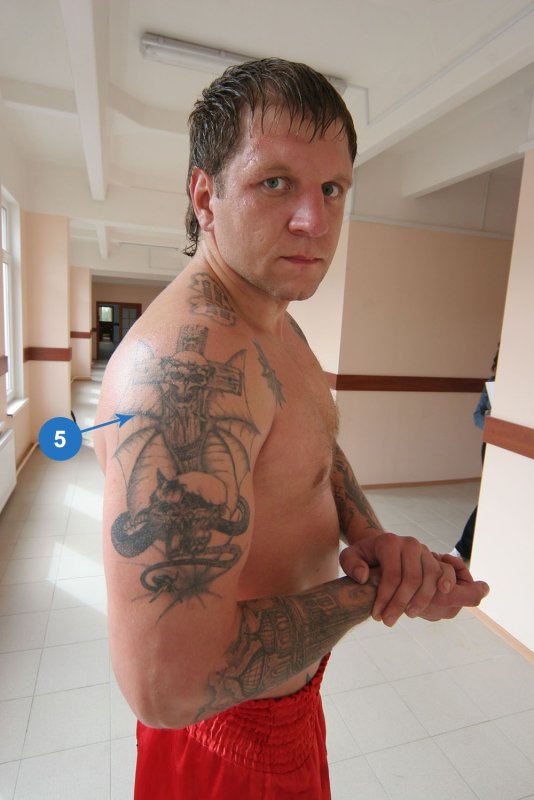 Александр Емельяненко спина