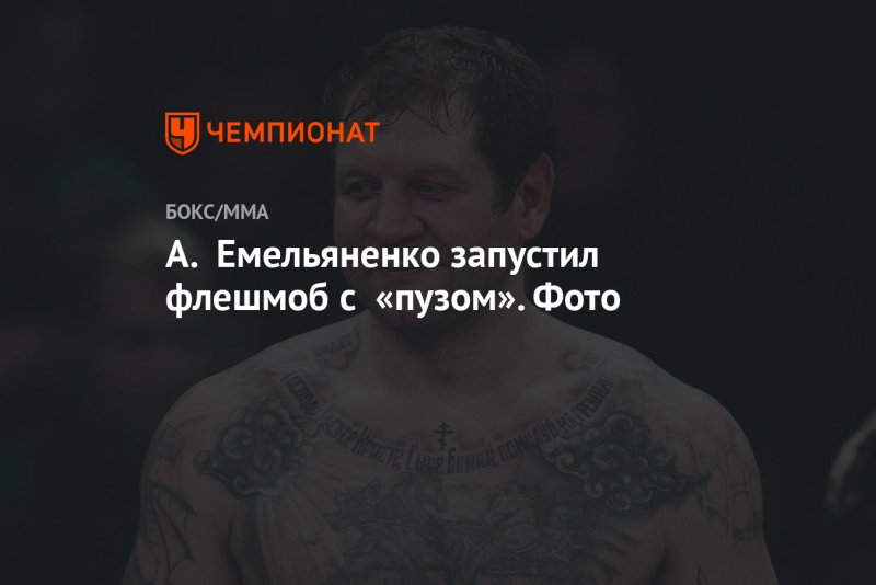 Джефф Монсон Александр Емельяненко бой