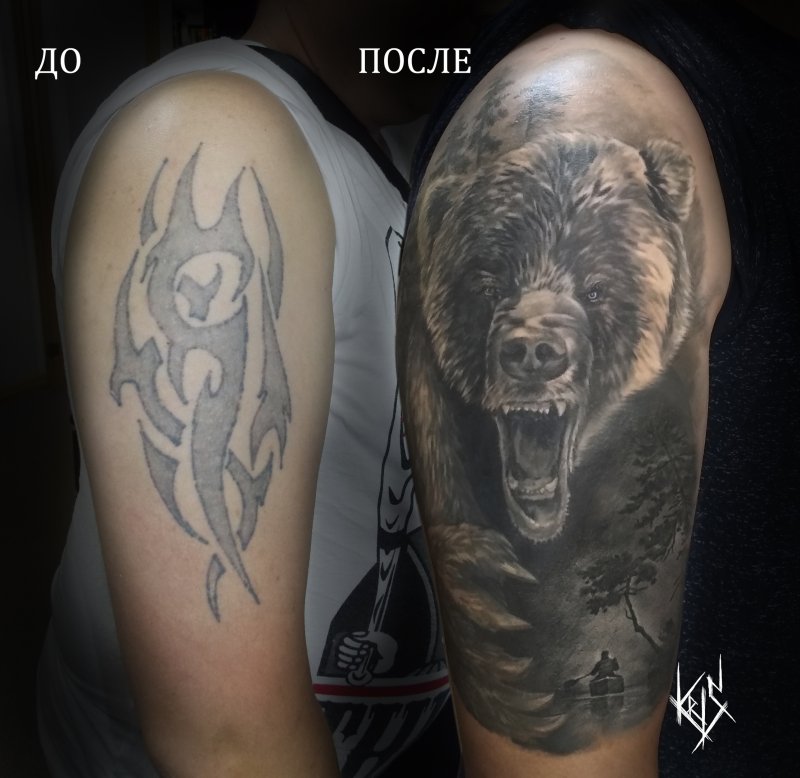 Тату медведь