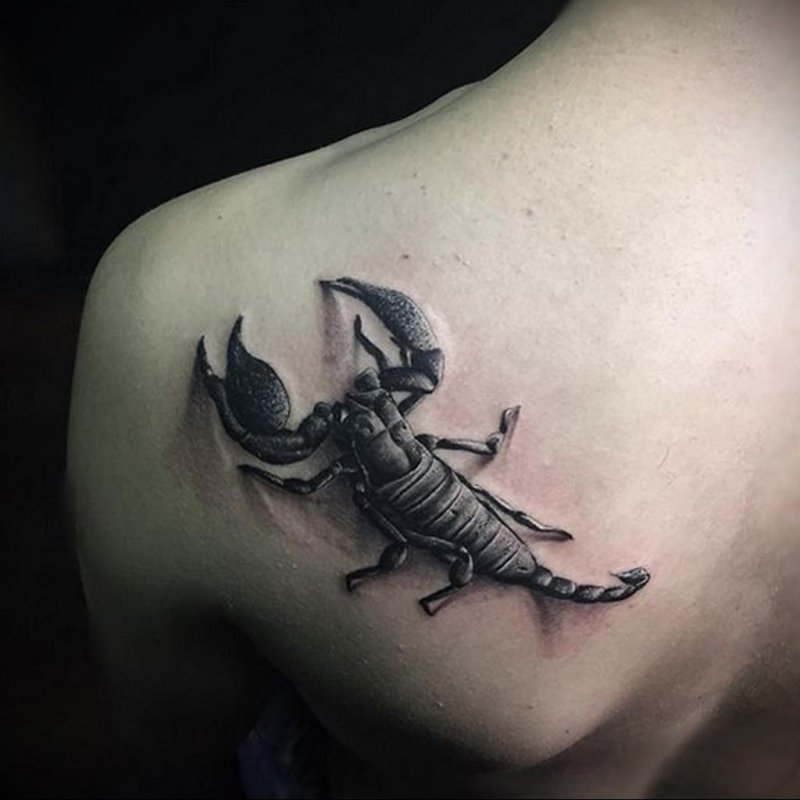 Скорпион на лопатке реализм