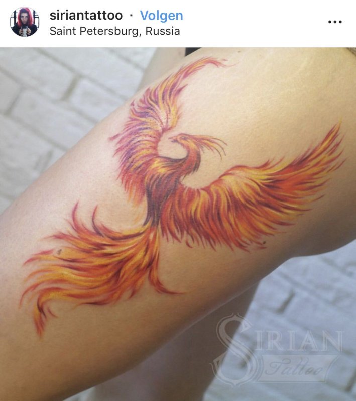 Тату Феникс на ноге