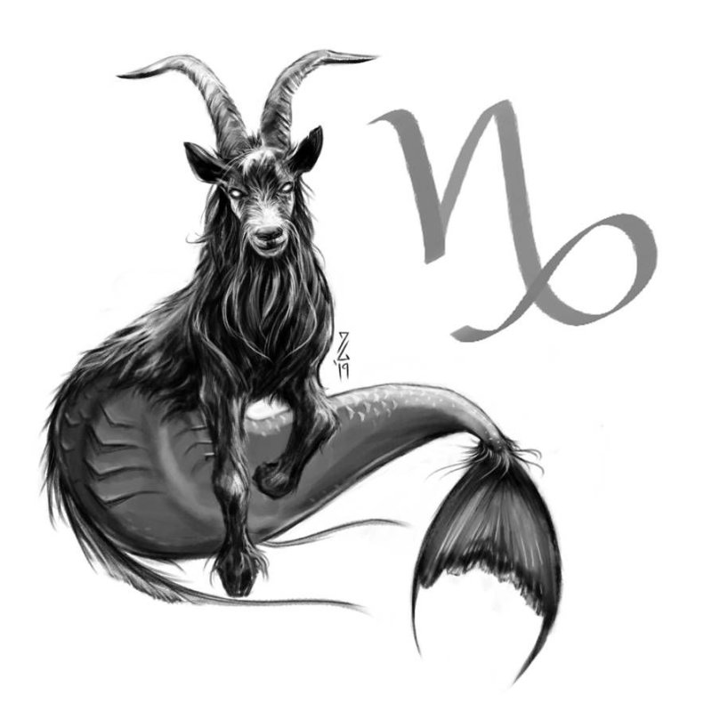 Capricorn знак зодиака