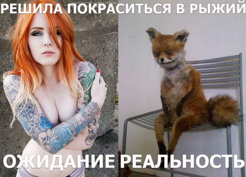 Уродливые тату животных