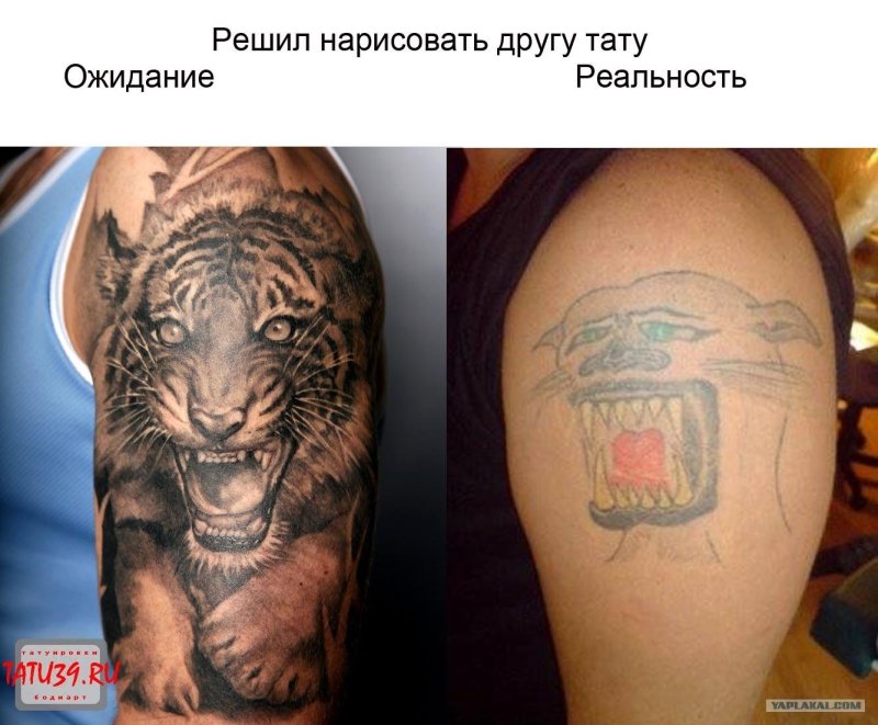 Тату тигра ожидание реальность