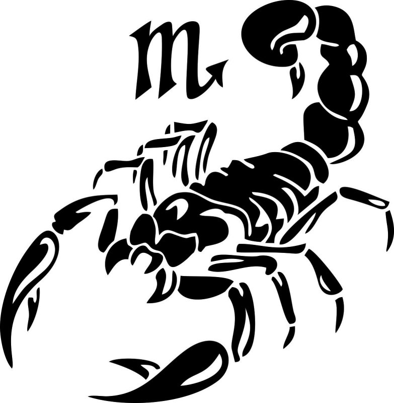 Тату Скорпион мужские