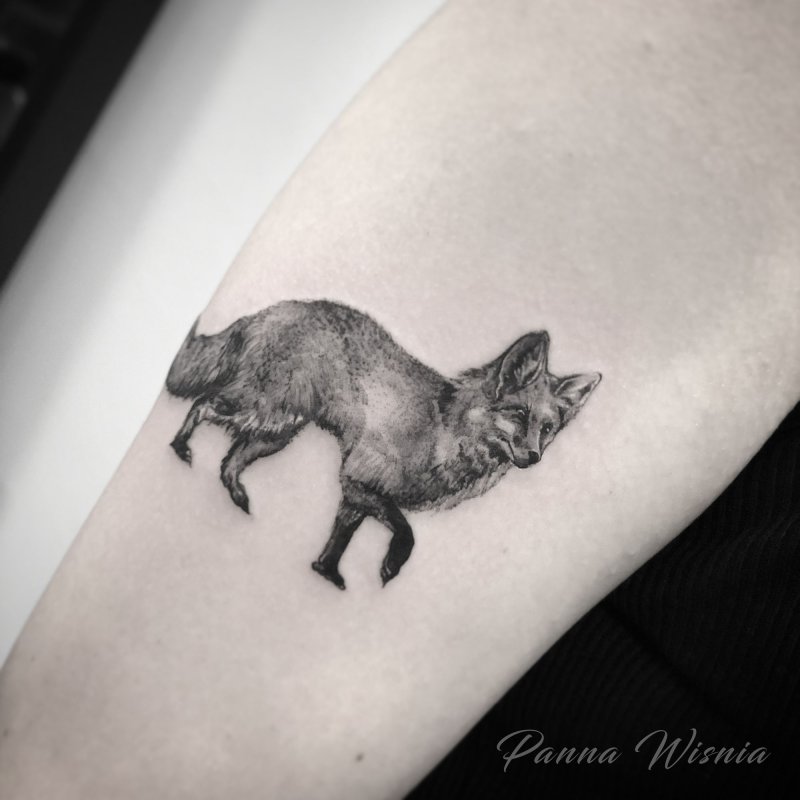Серая лисица тату
