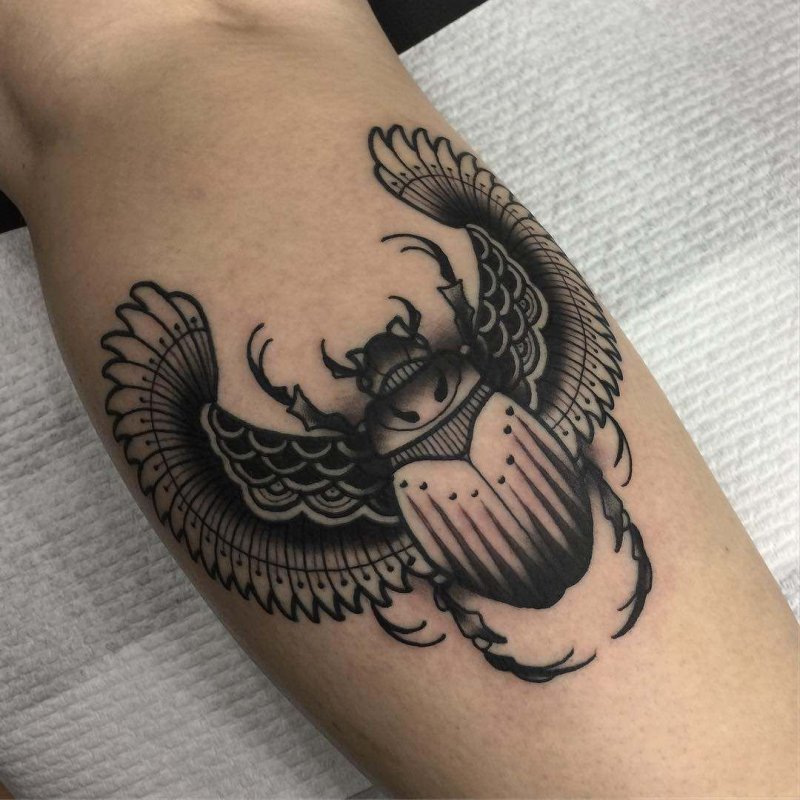 Скарабей Жук Египет эскиз