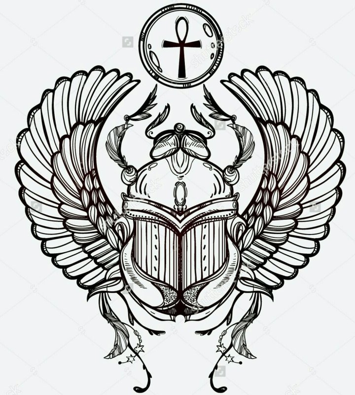 Египетские тату скоробей