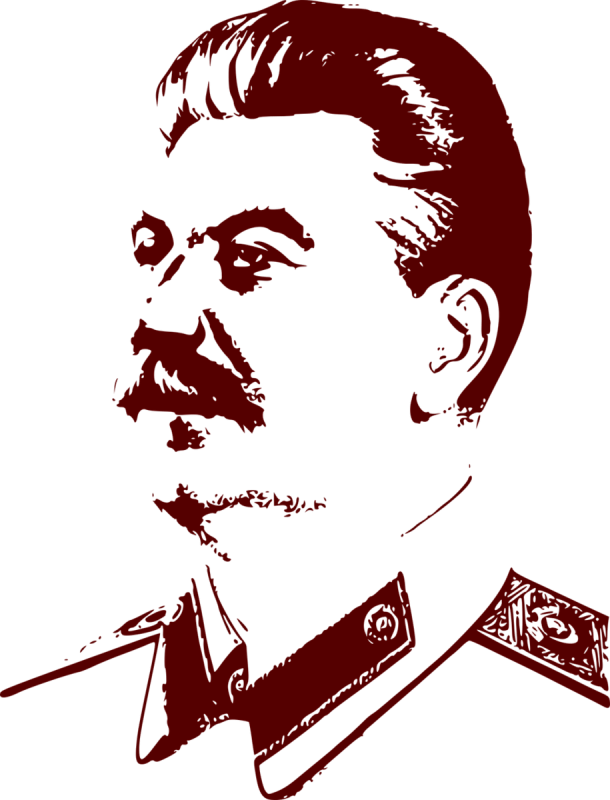 Портрет Сталина в профиль