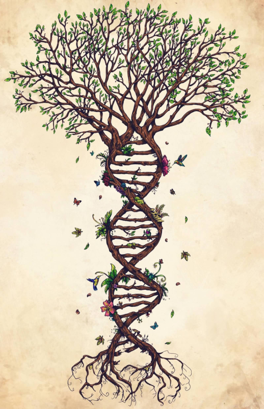 "Tree of Life" ("дерево жизни") by degree