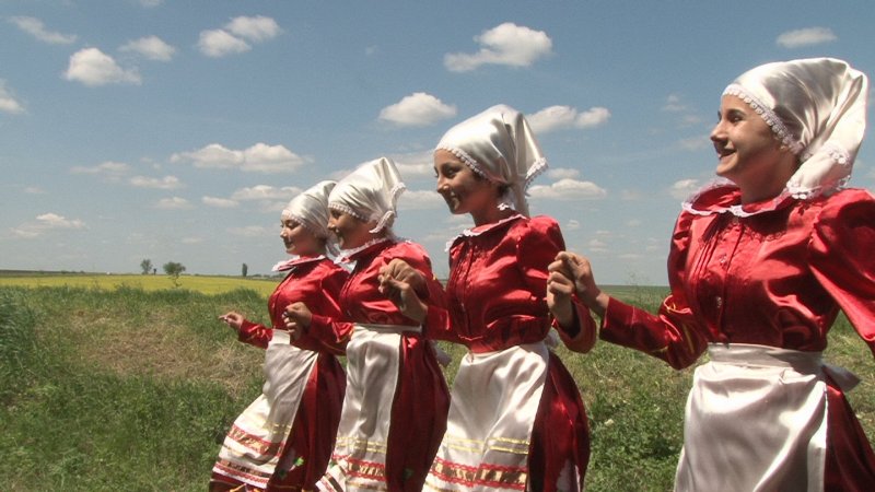 Гагаузы кочевники