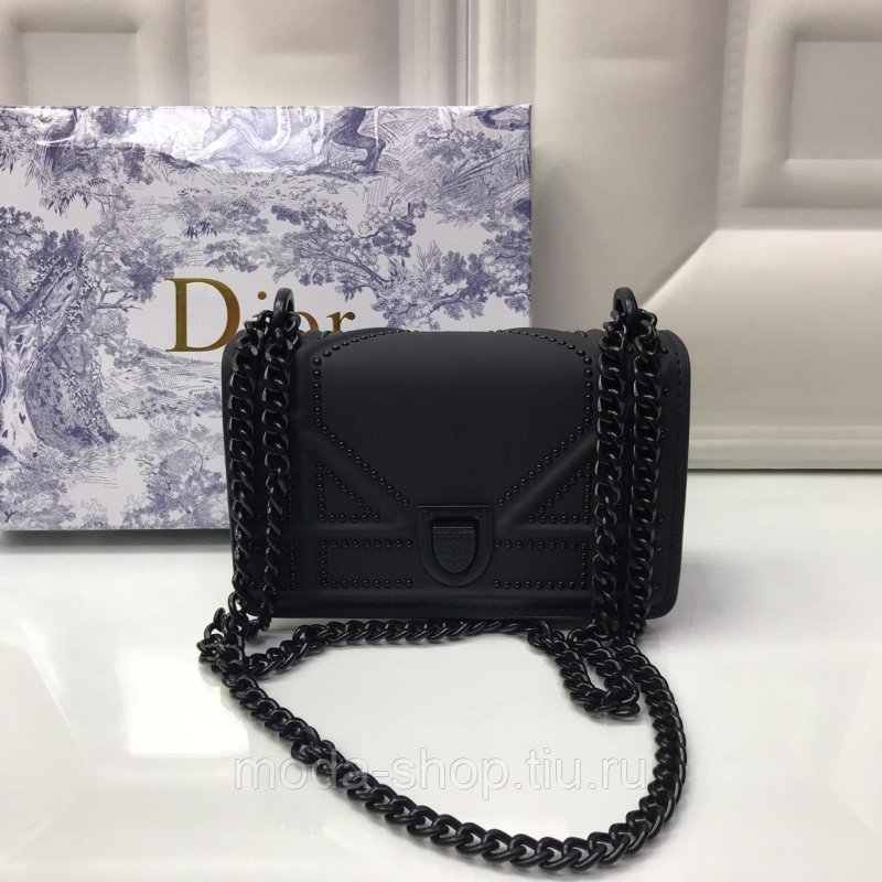 Сумка Christian Dior Diorama