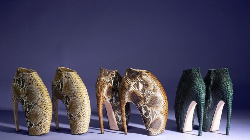 Horse hooves Shoes туфли