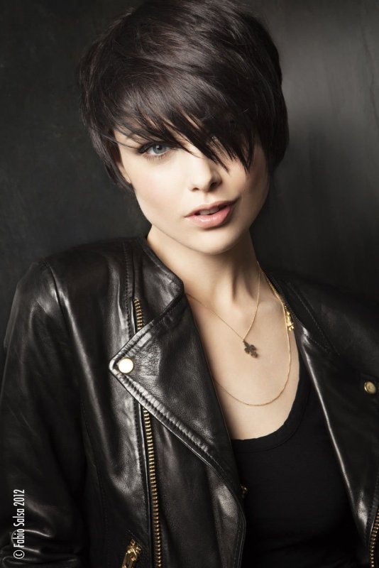 Pixie Bob