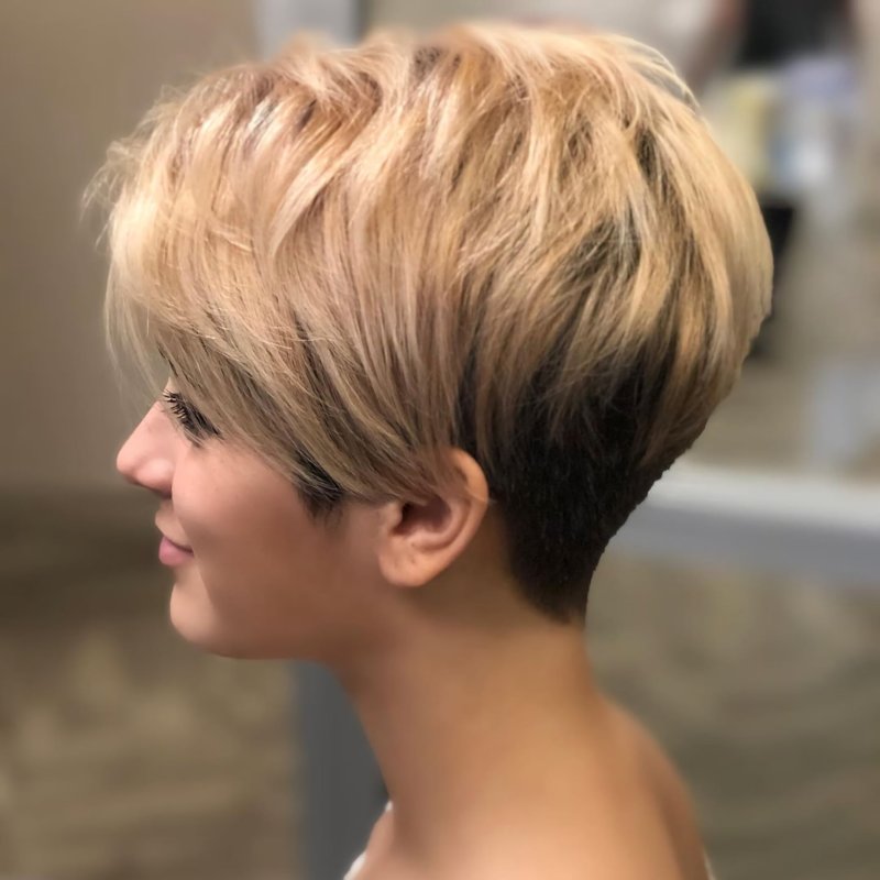Pixie Bob