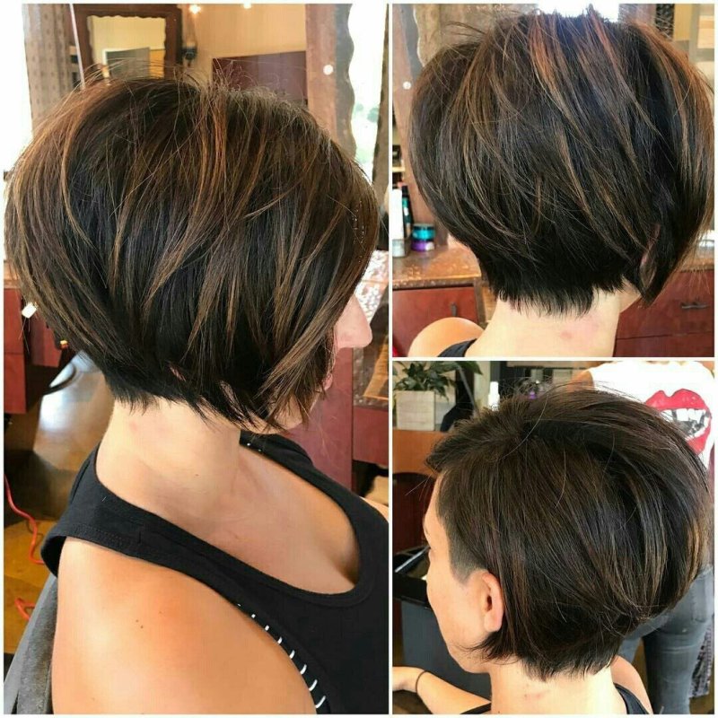 Pixie Bob стрижка Корея