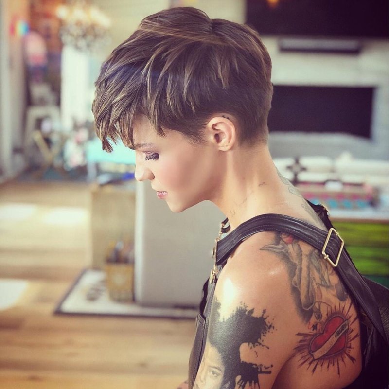 Pixie Bob ирокез