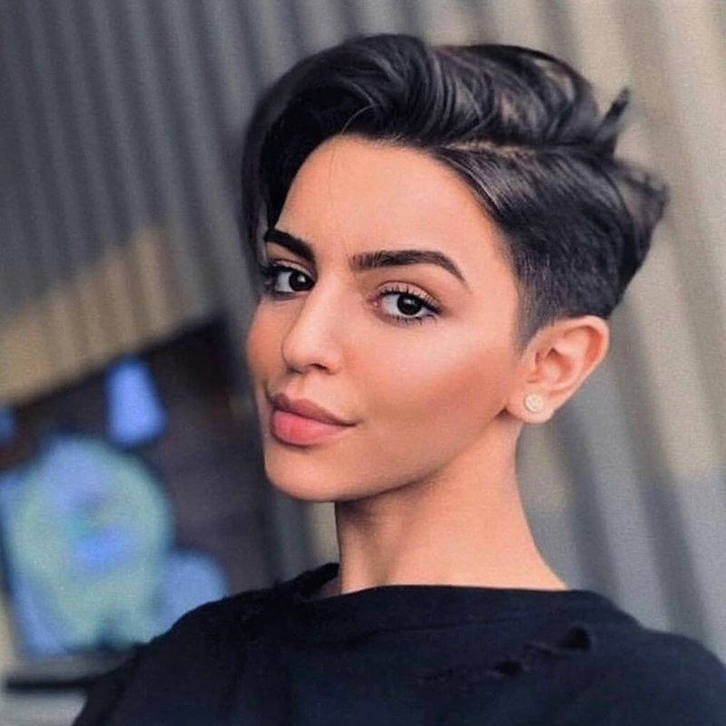 Pixie Bob