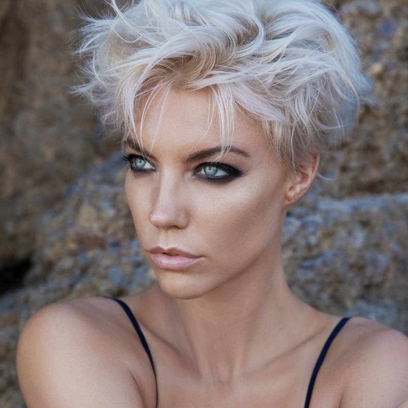 Pixie Bob стрижка Корея