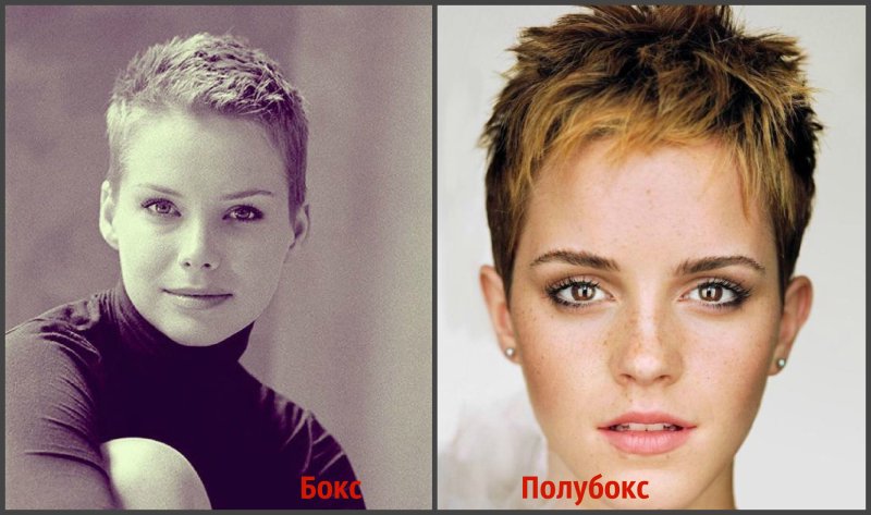 Пикси кроп