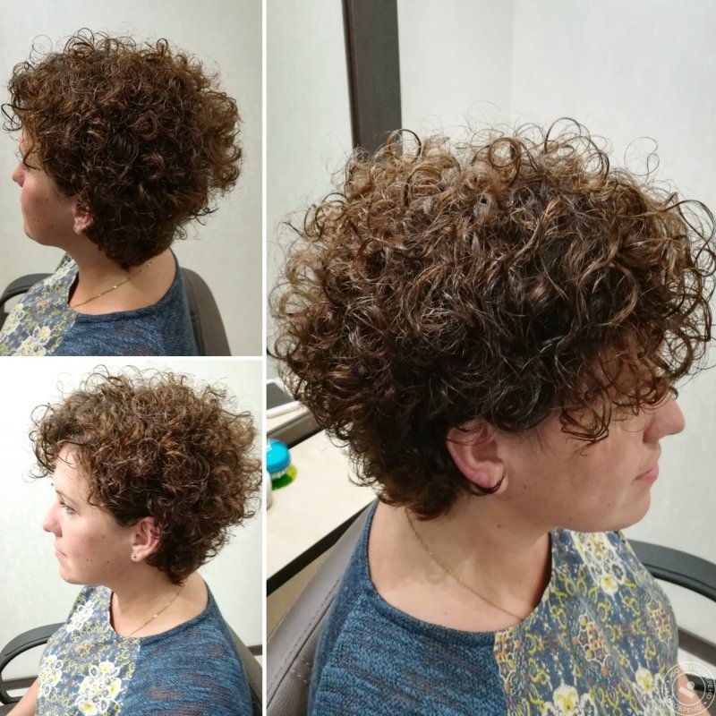Химия рыжий короткая