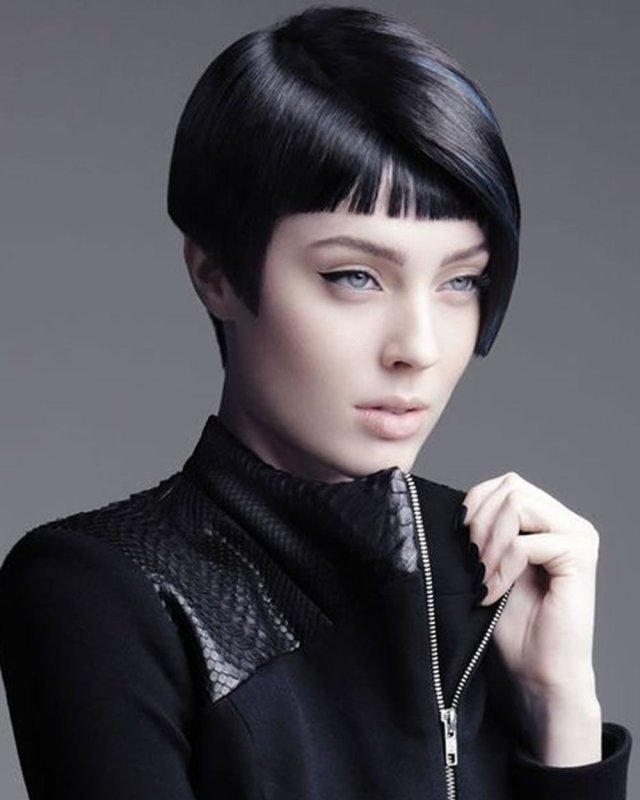 Pixie Bob