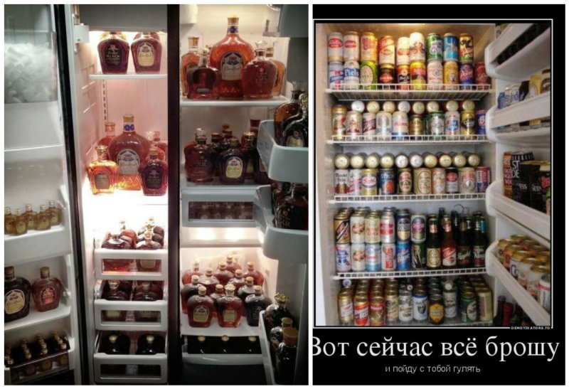 Полный холодильник