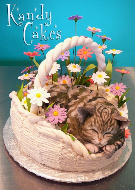 Торт с котом