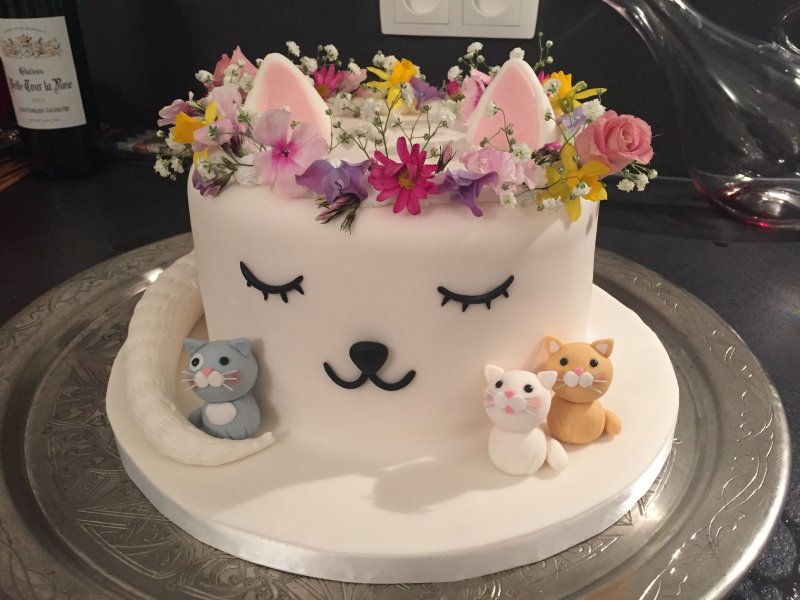 Торт с «кошками»