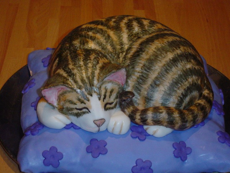 Торт 3д кошка