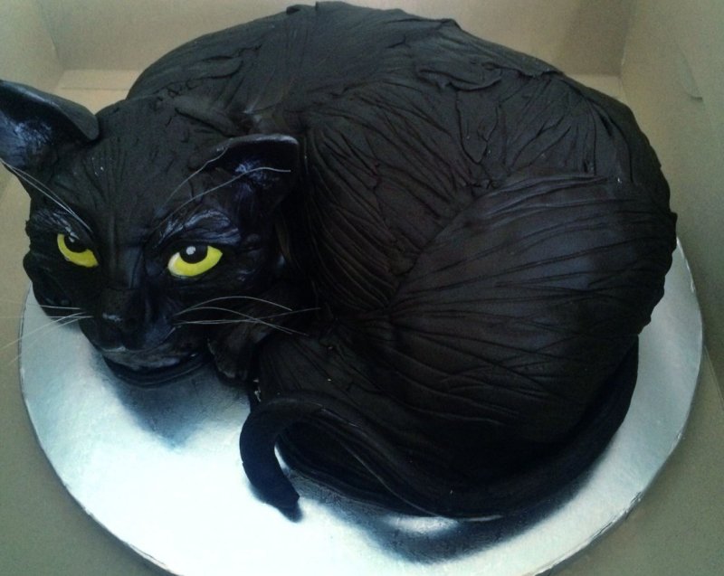 Кошачий торт
