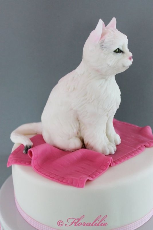 Торт с котом