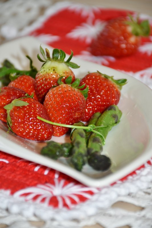 Manon des Fraises земляника